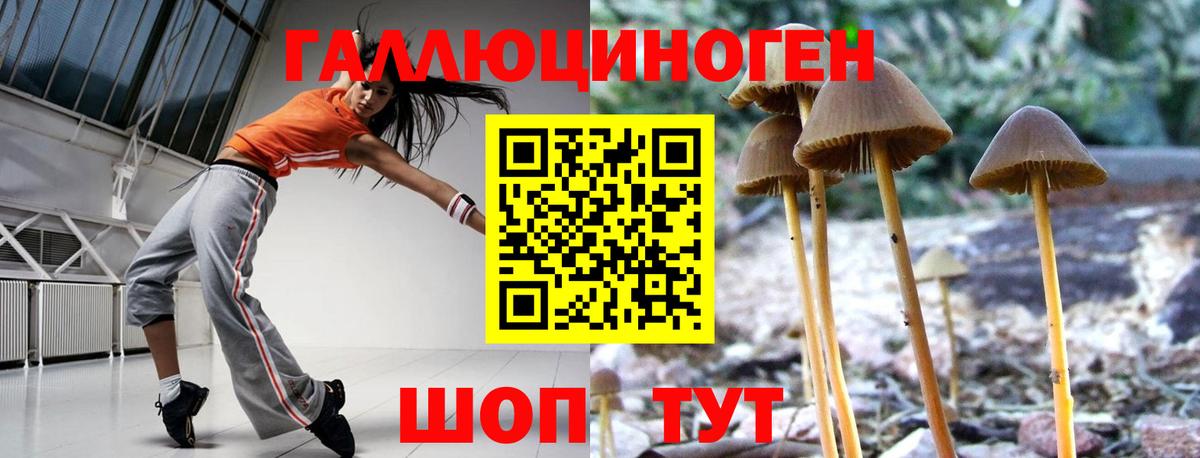 Соль-Илецк  Псилоцибиновые грибы мухоморы  Вход с VPN 